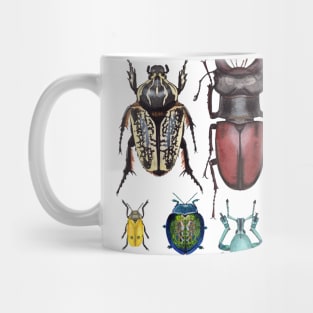 Beetle Collection Mug